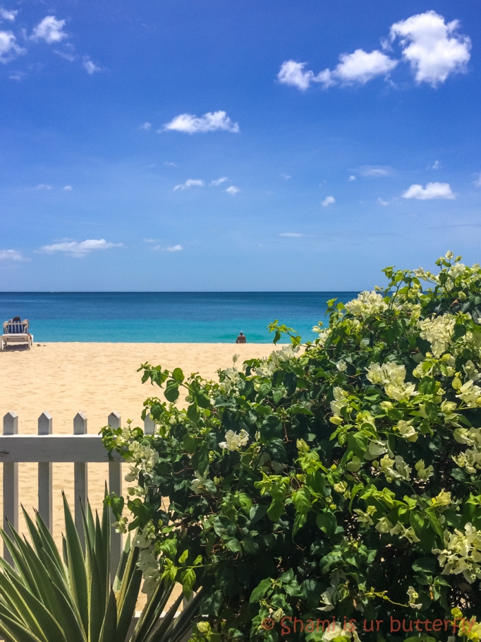 My Grenada Trip 2015 - Radisson Grenada Beach Resort (69)