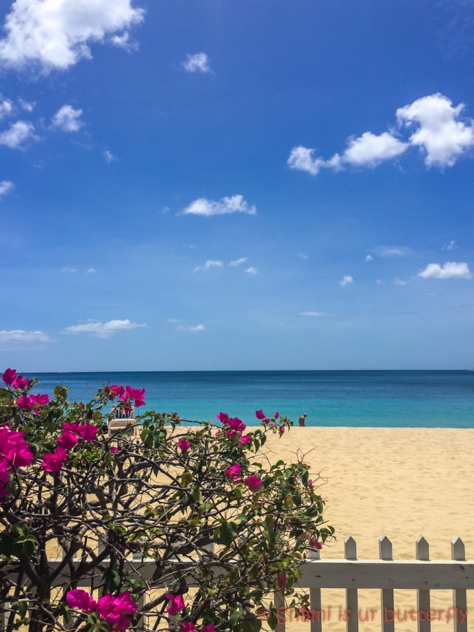 My Grenada Trip 2015 - Radisson Grenada Beach Resort (70)