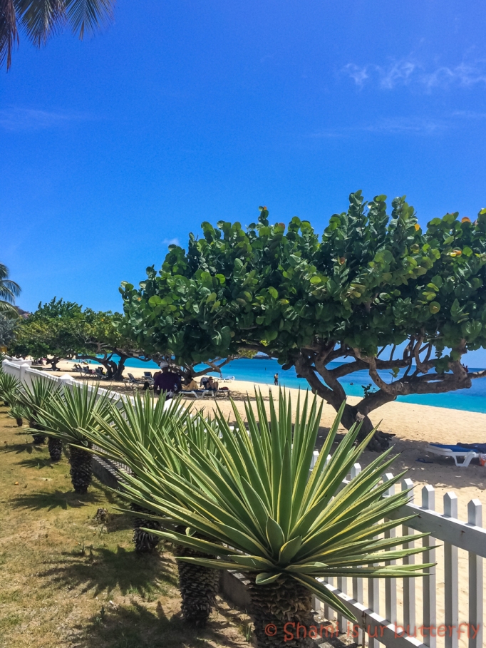 My Grenada Trip 2015 - Radisson Grenada Beach Resort (71)